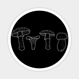 "ACAB Mushrooms" Amanita, Chanterelle, Amanita, Bolete Magnet